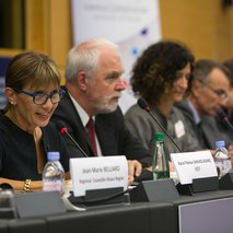 Trois questions à Marie-Thérèse Sanchez-Schmid, députée européenne