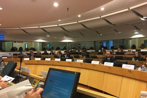 Committee of the Regions conference on natural disasters in cross-border areas
