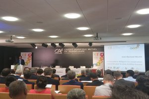13th Antilles-Guiana regional cooperation conference 13th Antilles-Guiana regional cooperation conference