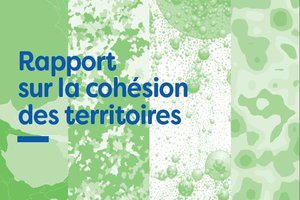 Third French National Conference of Territories: Publication of a report on territorial cohesion Third French National Conference of Territories: Publication of a report on territorial cohesion