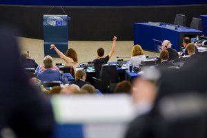 Opinion of the Parliament and the CoR on the proposal for a regulation on the ECBM