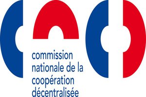 Call for projects on decentralised cooperation Call for projects on decentralised cooperation