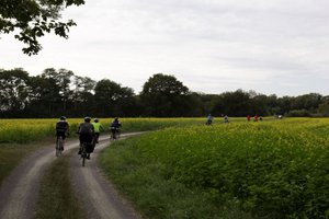 Strasbourg-Ortenau Eurodistrict: A cross-border cycle ride to bring citizens on either side of the Rhine together