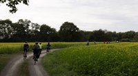 Eurodistrict Strasbourg-Ortenau : Un "Vélo Gourmand" pour rapprocher les citoyens de part et d'autre du Rhin