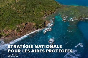 The national strategy for protected areas: what account is being taken of cross-border territories?