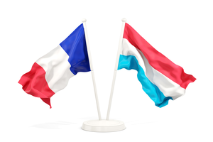 Réunion du Comité consultatif franco-luxembourgeois en présence de la MOT Réunion du Comité consultatif franco-luxembourgeois en présence de la MOT
