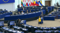 EP resolution on the new cohesion policy