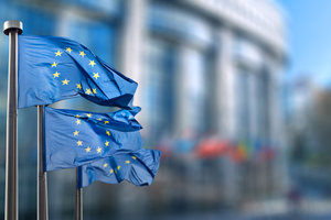 European elections: MOT calls for MEPs' commitment European elections: MOT calls for MEPs' commitment
