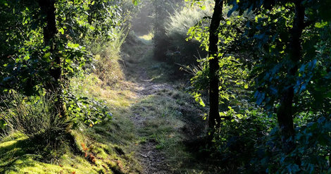 Ardenne Ecotourism – Pour le développement d’une offre touristique durable en Ardenne transfrontalière Ardenne Ecotourism – Pour le développement d’une offre touristique durable en Ardenne transfrontalière