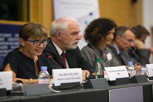Special Dossier on the European elections: three questions put to Marie-Thérèse Sanchez-Schmid, MEP Special Dossier on the European elections: three questions put to Marie-Thérèse Sanchez-Schmid, MEP