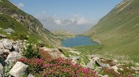 "Espace Marittime-Mercantour" : Candidature transfrontalière au patrimoine mondial de l'UNESCO