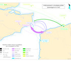 Transmanche : fréquence journalière (passagers et fret)