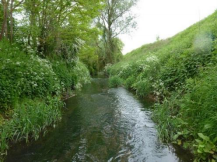 A(l)qua - Alzette, objectif Qualité : Dépollution de la rivière transfrontalière