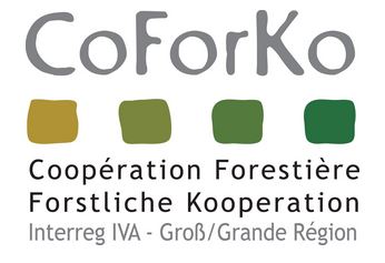 Coforko - Coopération Forestière